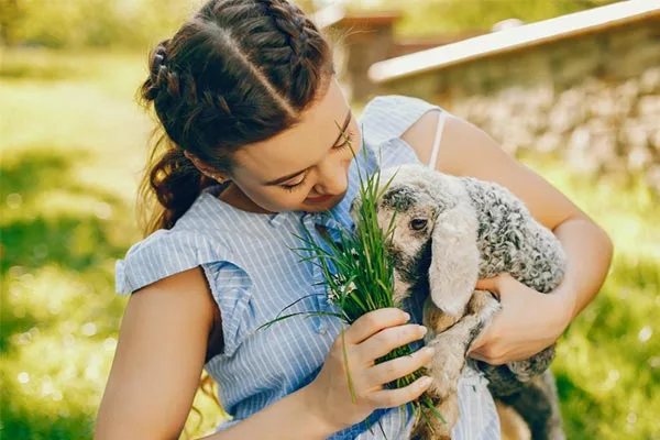 Naturopathe animalier Montpellier nutrition